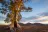 Wilpena Pound