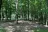 Forest Road 75 Camping Area