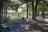 Lake Mexia Recreation Area