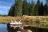 Clearwater Forebay Number 2