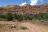 Blue Mountain Road