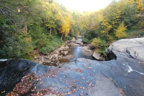 Swallow Falls State Park