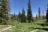 Potters Pond
