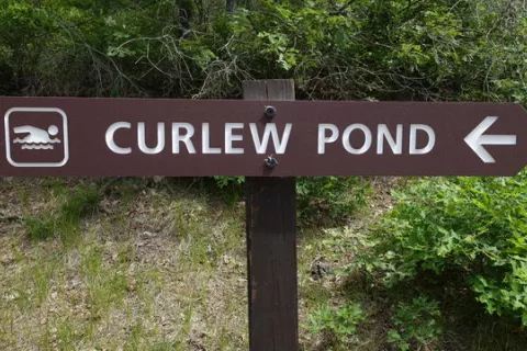 Curlew Pond Campground