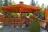 Timber Wolf Resort