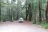 Wailaki Campground