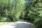 Lobster Creek Campground