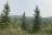 North Fork Campground