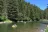Moose Creek Flat Campground