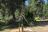 White Sand Campground
