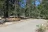 Lodgepole Campground