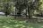 Wendy Oaks RV Resort