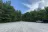 Michaux Designated Camping Area #2