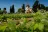 Southern Vales Wineries
