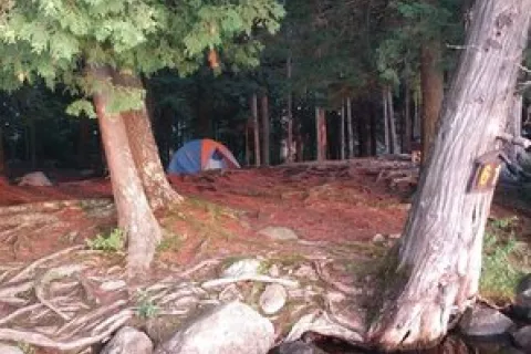Forked Lake Campground