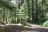 Heart O' the Hills Campground