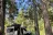 Mcbride Springs Campground