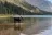 Many Glacier Campground