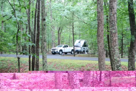 Trout Pond Campground