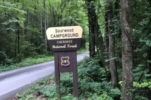 Sourwood Campground