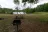 Borrow Pit Campsite #6