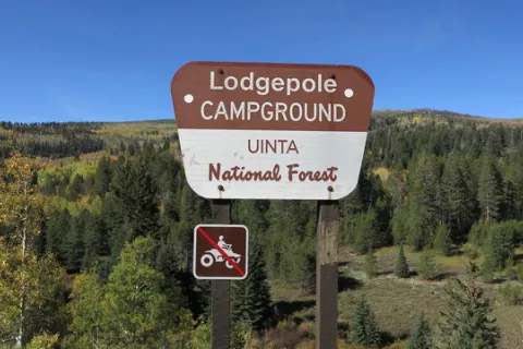 Lodgepole Campground