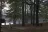 Percy Quin State Park