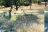 Elk Run RV Resort