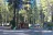Movin' West RV Park