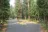 Lolo Creek Campground