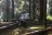 Sol Duc Campground