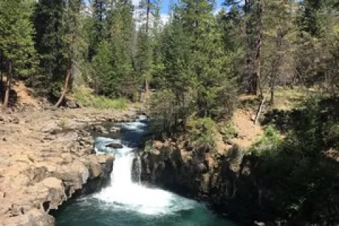 Fowlers Camp Campground