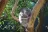 Taronga Zoo