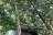 Clarion River Designated Campsites