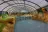 Camping des Pins