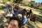 Bodrum Masali Camping