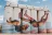 Tumby Bay Caravan Park
