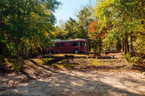 Paynes Creek Campground