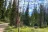Uinta Dispersed Campsites