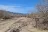 Yaqui Well Camp