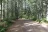 Dow Creek RV Resort
