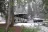 Ponderosa RV Campground