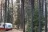 Apgar Campground