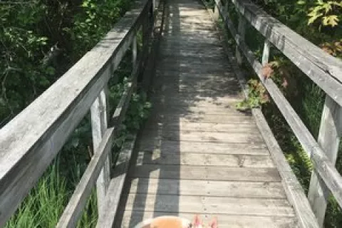 MacGregor Point Provincial Park