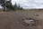 Sage Hen Hill Road Dispersed Camping
