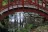 Japanese Garden