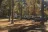 Corney Lake Complex