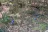 Claystone Park Campground