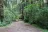 Klahowya Campground