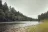 Cowlitz Fish Hatchery